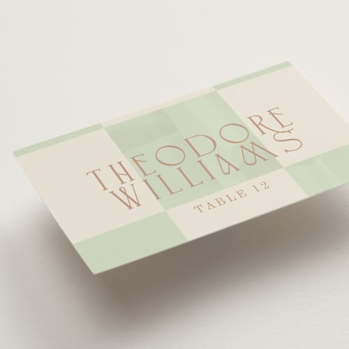 This is a mint wedding place cards with standard by Baumbirdy called checker wash printing on signature in placecard