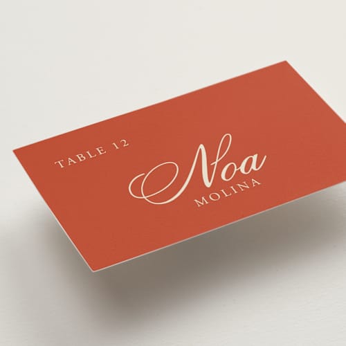 This is a cherry wedding place cards with standard by Ani Somi called borders printing on signature in placecard