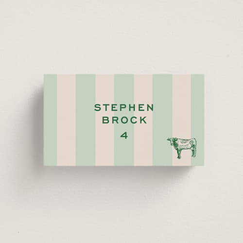 This is a mint wedding place cards with standard by Megan Davis called rhode printing on signature in placecard