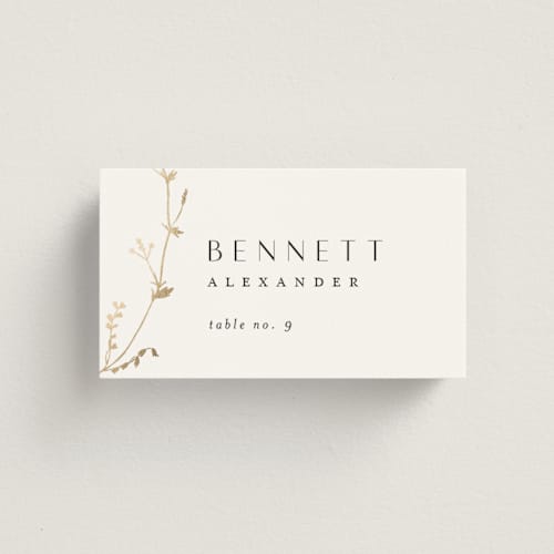 This is a cotton wedding place cards with foil pressed by Amy Kross called vine wrap printing on signature in placecard