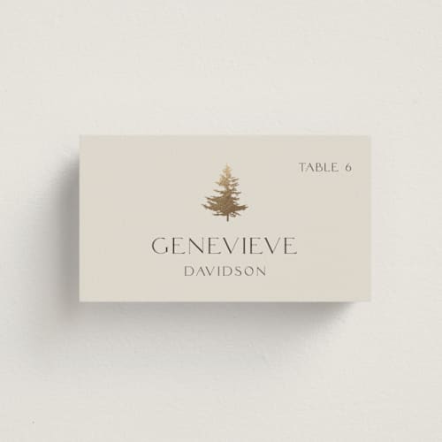 This is a fallen snow wedding place cards with foil pressed by Robin Ott called vista printing on signature in placecard