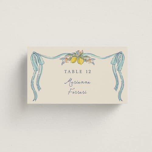 This is a aqua wedding place cards with standard by Chris Griffith called amalfi coast wedding printing on signature in placecard