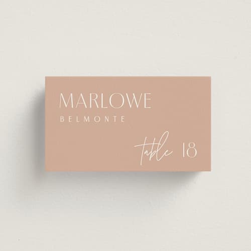 This is a terracotta wedding place cards with standard by Kelly Schmidt called overlap printing on signature in placecard