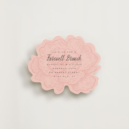 This is a peony insert cards with standard by Laura Hankins called garden sketchbook printing on signature in standard