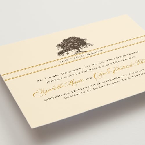 This is a butterscotch wedding announcements with standard by Annie Clark called oak tree printing on signature in standard