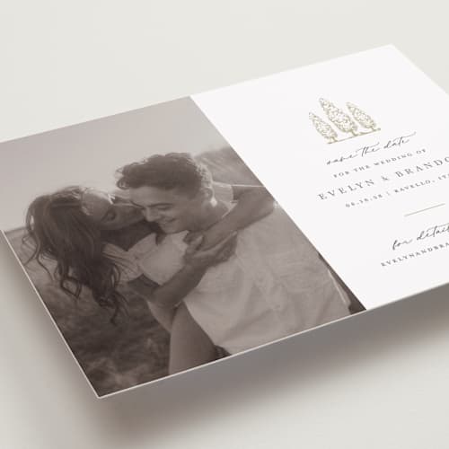 This is a champagne save the date with standard by Sarah Brown called arborvitae printing on recycled smooth signature in grand