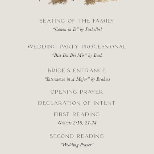 This is a fallen snow unique wedding programs with foil pressed by Robin Ott called vista printing on signature in 4x9