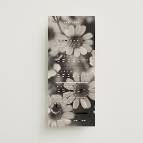 This is a vanilla ceremony reception essentials with standard by Blustery August called nonnette printing on signature in 4x9