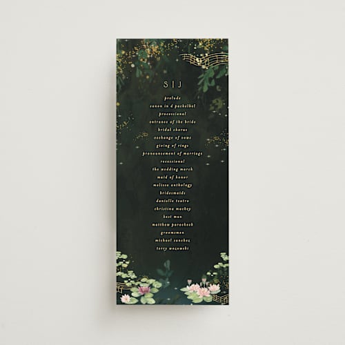 This is a mystic unique wedding programs with standard by Phrosné Barwood called new orleans from disney's princess and the frog printing on signature in 4x9