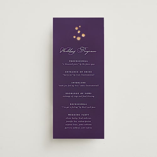 This is a twilight unique wedding programs with standard by Simona Camp called disney's tangled lanterns printing on signature in 4x9