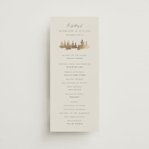 This is a fallen snow unique wedding programs with foil pressed by Robin Ott called vista printing on signature in 4x9