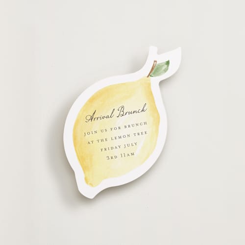 This is a lemondrizzle insert cards with standard by Sarah Knight called zest printing on signature in standard