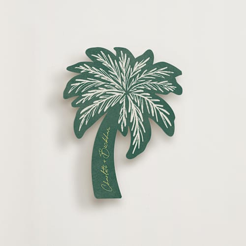 This is a foliage insert cards with standard by Pixel and Hank called coastal drift printing on signature in standard