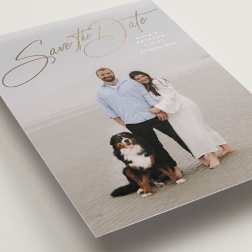 This is a snow foil stamped save the date cards with foil pressed by Lauren Chism called sweetest love printing on recycled smooth signature in standard