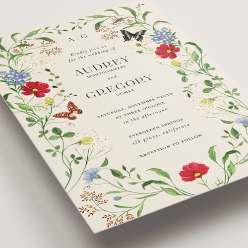 This is a elder flower wedding invitations with standard by Sarah Knight called wild meadow printing on signature in standard