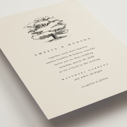 This is a dove wedding invitations with standard by Amy Kross called white oak printing on signature in standard