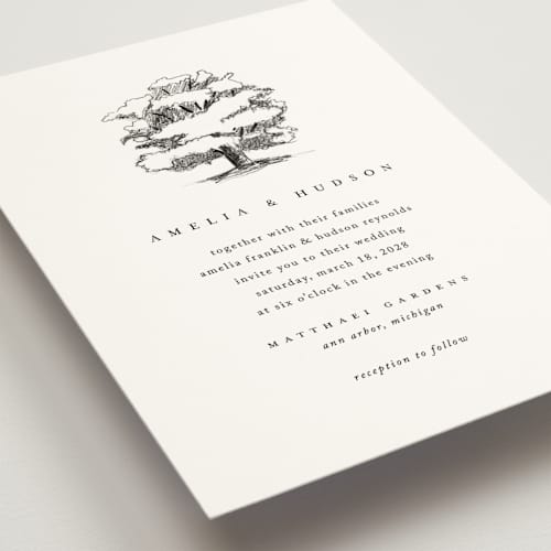 This is a cotton wedding invitations with standard by Amy Kross called white oak printing on signature in standard