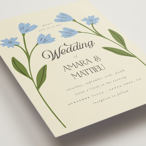This is a cornflower wedding invitations with standard by Morgan Kendall called vintage wildflowers printing on signature in standard