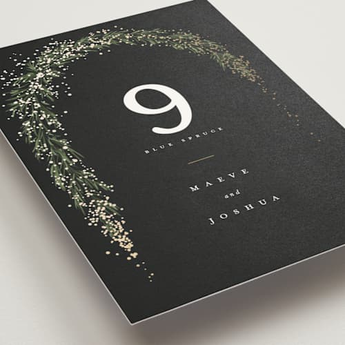 This is a tuxedo table numbers with foil pressed by Leah Bisch called winter garland printing on doublethick in standard