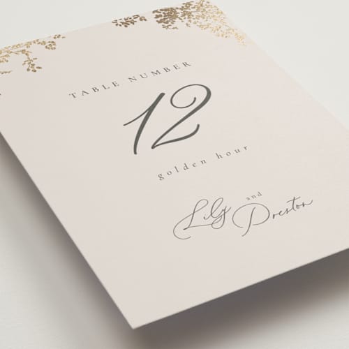 This is a luxe neutral table numbers with foil pressed by Design Lotus called forever and a day printing on doublethick in standard