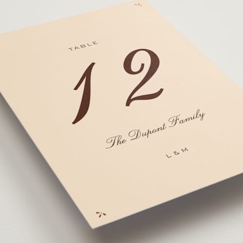 This is a coco table numbers with foil pressed by Ani Somi called sweet fancy printing on doublethick in standard