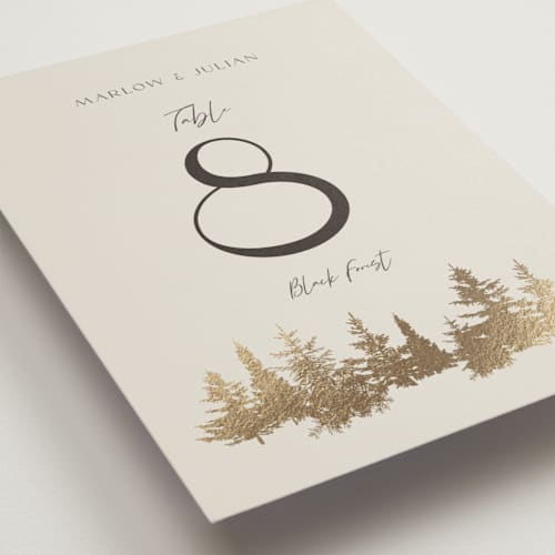 This is a fallen snow table numbers with foil pressed by Robin Ott called vista printing on doublethick in standard