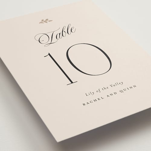This is a ivory table numbers with standard by Paper Raven Co. called vintage romance printing on doublethick in standard