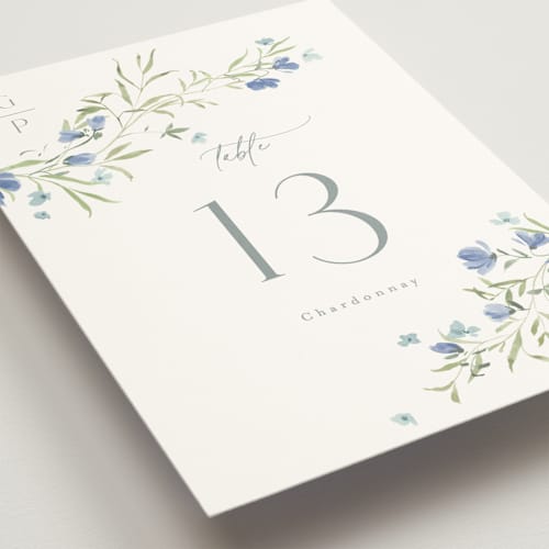 This is a aquamarine table numbers with standard by Everett Paper Goods called sweeping meadow printing on doublethick in standard