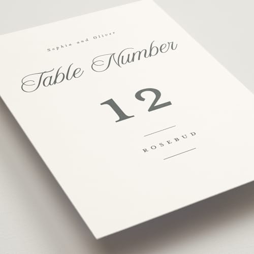 This is a graphite table numbers with standard by Leah Bisch called beautiful day printing on doublethick in standard