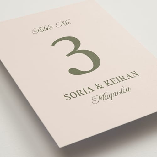 This is a meadow table numbers with standard by Melanie Kosuge called soria printing on doublethick in standard