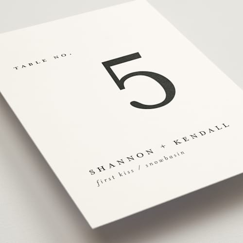 This is a snow table numbers with standard by Mere Paper called sketched mountains printing on doublethick in standard