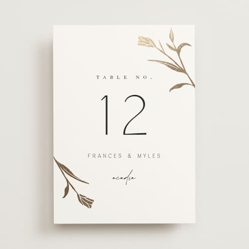 This is a cotton table numbers with foil pressed by Amy Kross called perennial printing on doublethick in standard