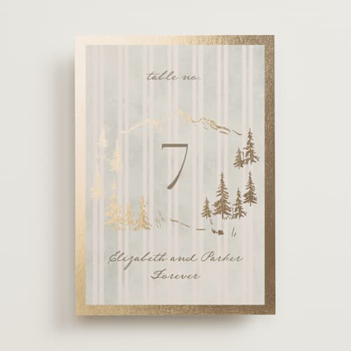 This is a dew table numbers with foil pressed by Petra Kern called mountain love printing on doublethick in standard