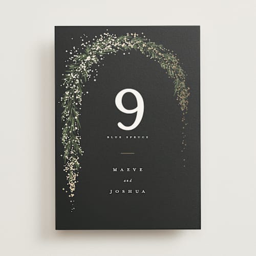 This is a tuxedo table numbers with foil pressed by Leah Bisch called winter garland printing on doublethick in standard