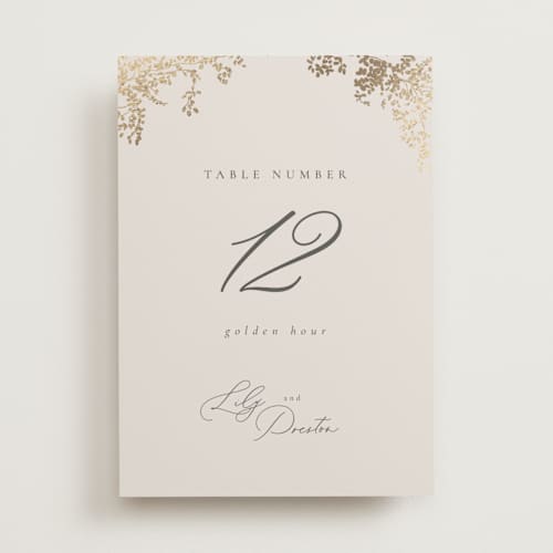 This is a luxe neutral table numbers with foil pressed by Design Lotus called forever and a day printing on doublethick in standard