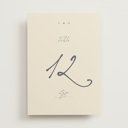 This is a chambray table numbers with foil pressed by Ani Somi called written in the stars printing on doublethick in standard