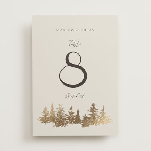 This is a fallen snow table numbers with foil pressed by Robin Ott called vista printing on doublethick in standard