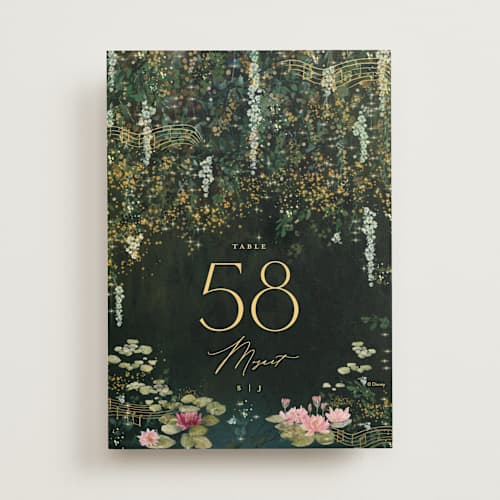 This is a mystic table numbers with standard by Phrosné Barwood called new orleans from disney's princess and the frog printing on doublethick in standard