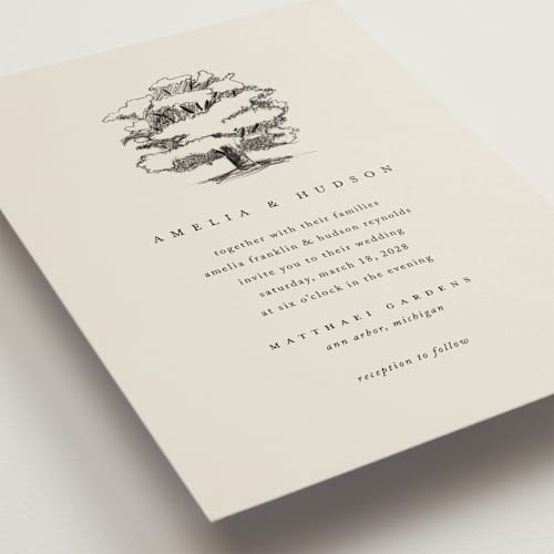 This is a dove wedding invitations with standard by Amy Kross called white oak printing on signature in grand