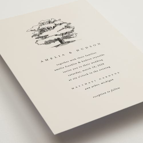 This is a dove petite wedding invitations with standard by Amy Kross called white oak printing on signature in petite