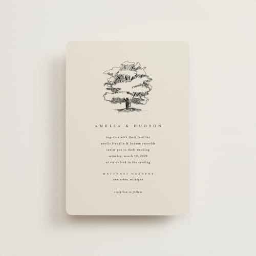This is a dove petite wedding invitations with standard by Amy Kross called white oak printing on signature in petite