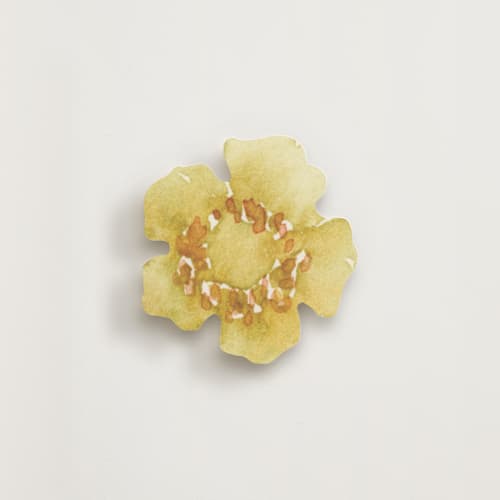 This is a sunshine insert cards with standard by Petra Kern called everlasting romance printing on signature in standard