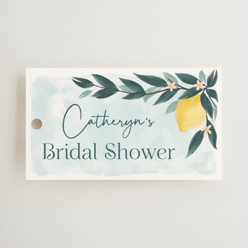 This is a mint gift tags with standard by Paper Sun Studio called main squeeze printing on signature in tag