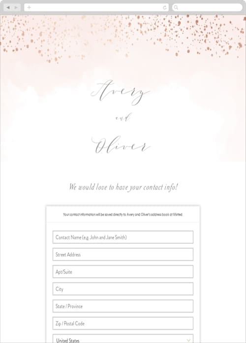 This is a blush digital wedding address collection cards by Kristie Kern called sparkling champagne printing on digital paper in standard
