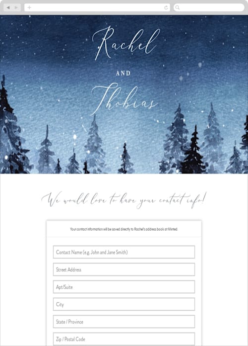 This is a celestial digital wedding address collection cards by Anastasia Makarova called let it snow printing on digital paper in standard