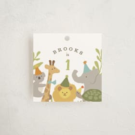 Children's Birthday Party Favor Tags