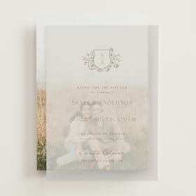 Vellum Overlays