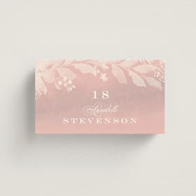 Place Cards