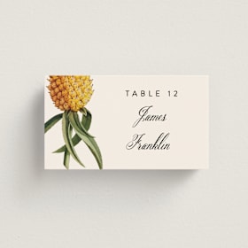 Place Cards