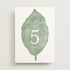 Table Numbers